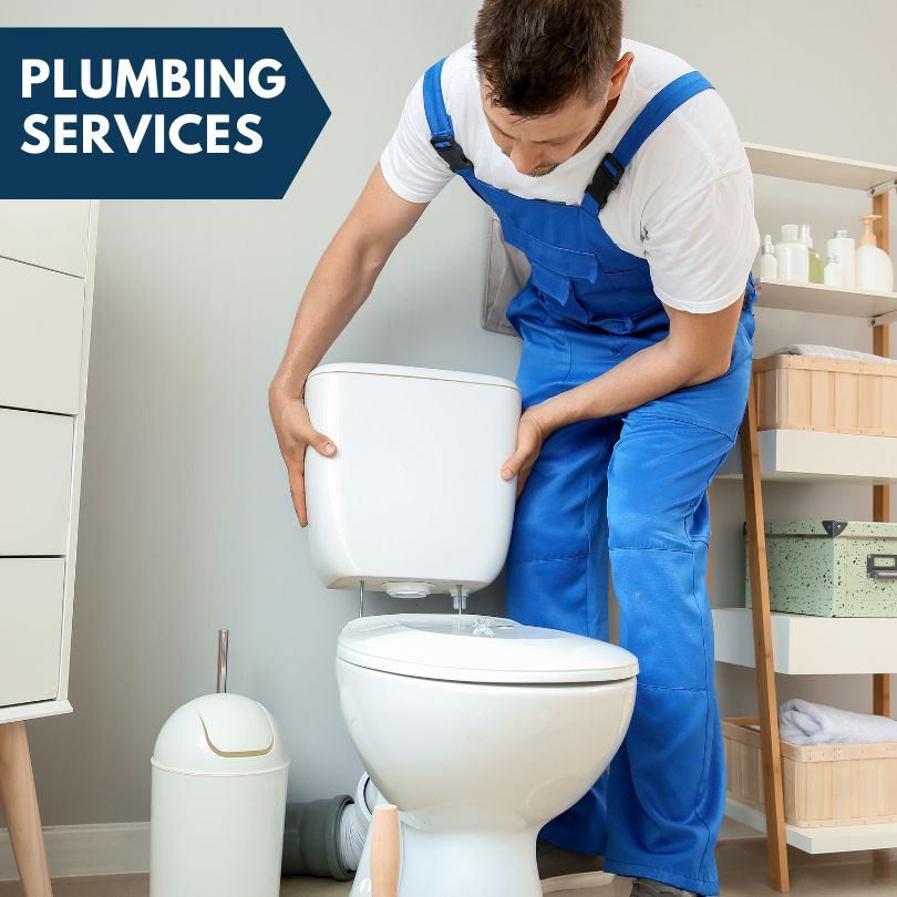 Plumbing Company in Dongola, IL